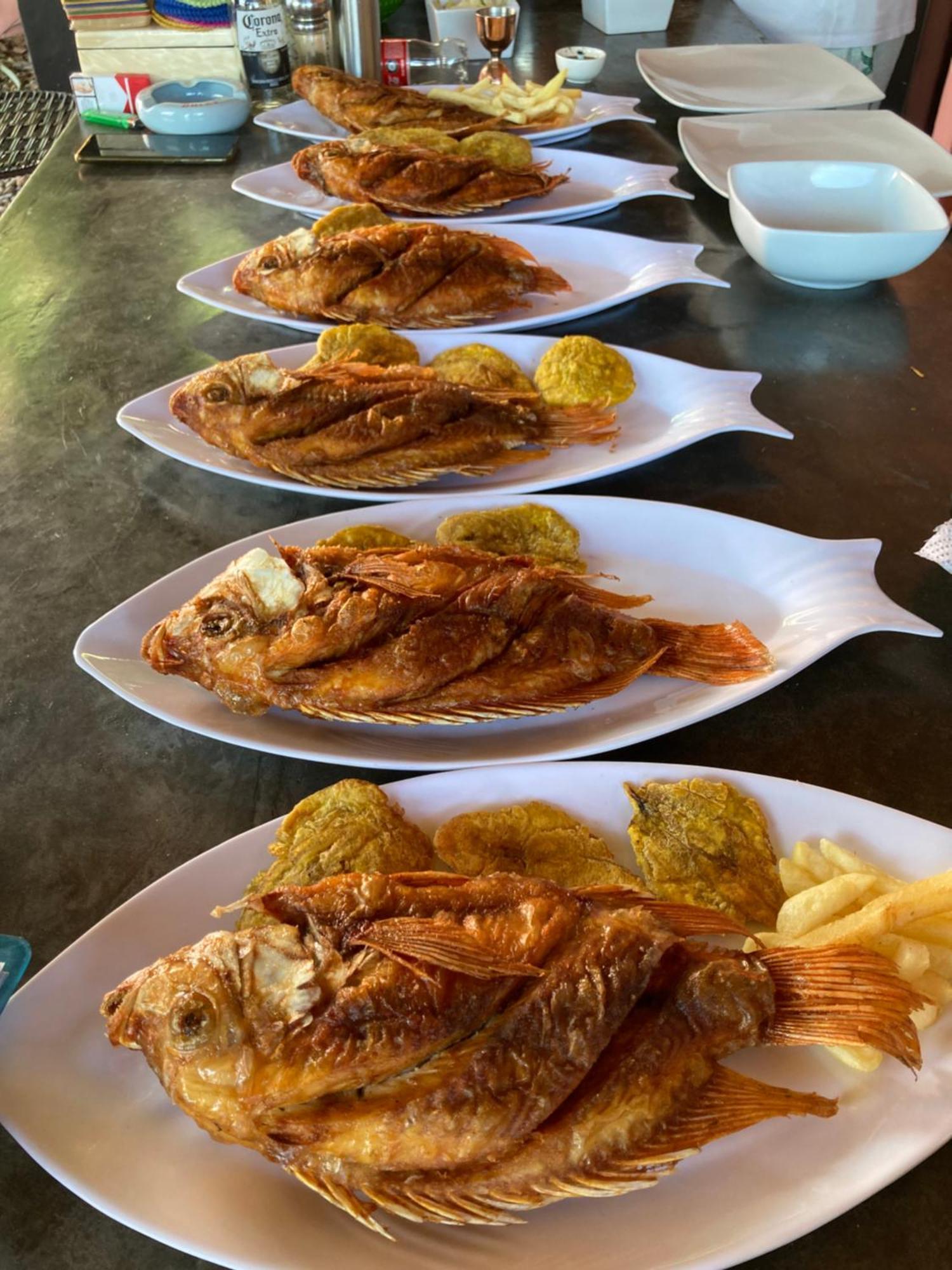 هوندا Casa De Amigos Hotel Boutique المظهر الخارجي الصورة